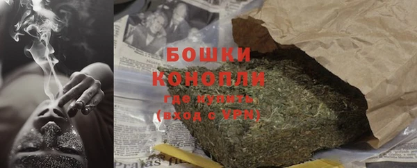 шишки Медвежьегорск
