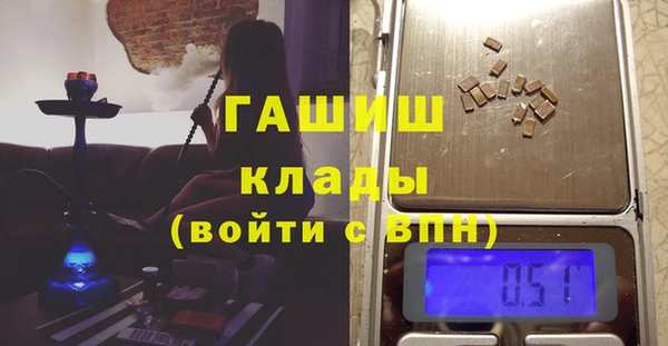 шишки Медвежьегорск