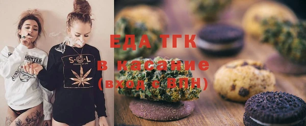 индика Бугульма