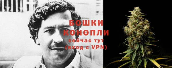 шишки Медвежьегорск
