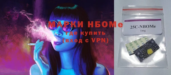 мдпв Ельня