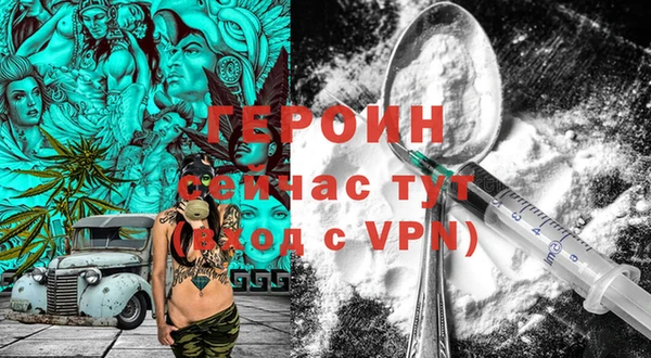 шишки Медвежьегорск