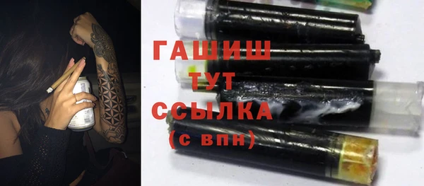 шишки Медвежьегорск