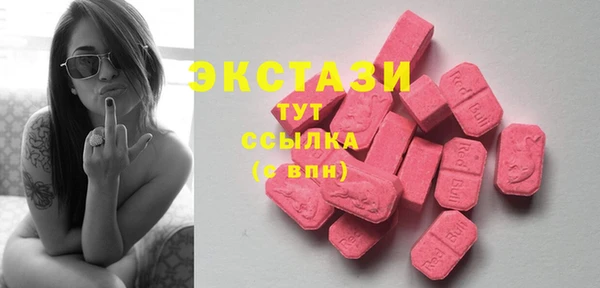 2c-b Ельня