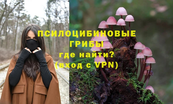 марки lsd Мегион