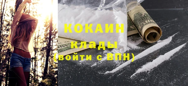 шишки Медвежьегорск