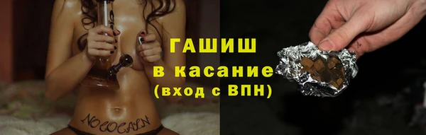 шишки Медвежьегорск