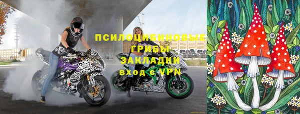кокс Бородино