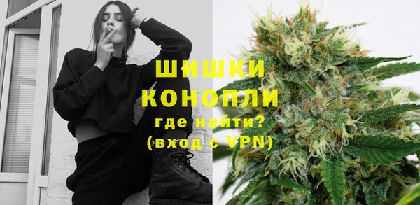 шишки Медвежьегорск