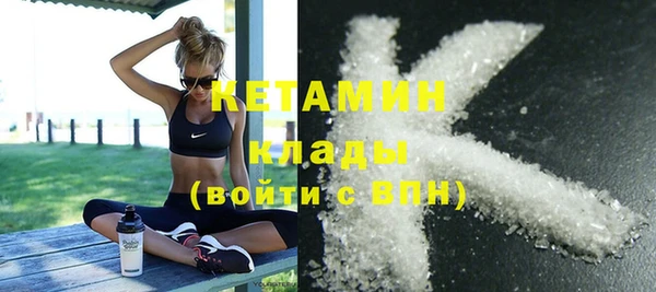шишки Медвежьегорск