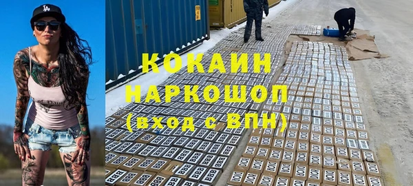 индика Бугульма