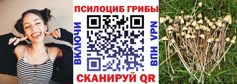 Галлюциногенные грибы MAGIC MUSHROOMS  Весьегонск 